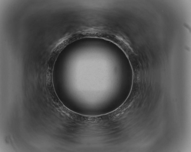 X0000091851350200709121302