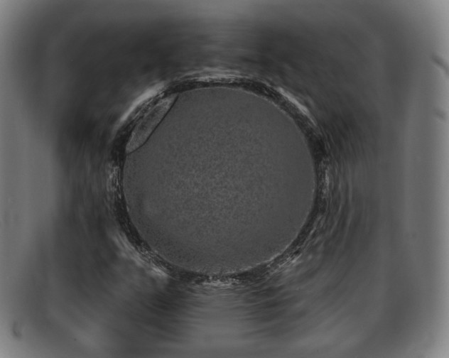 X0000091851351200709121302