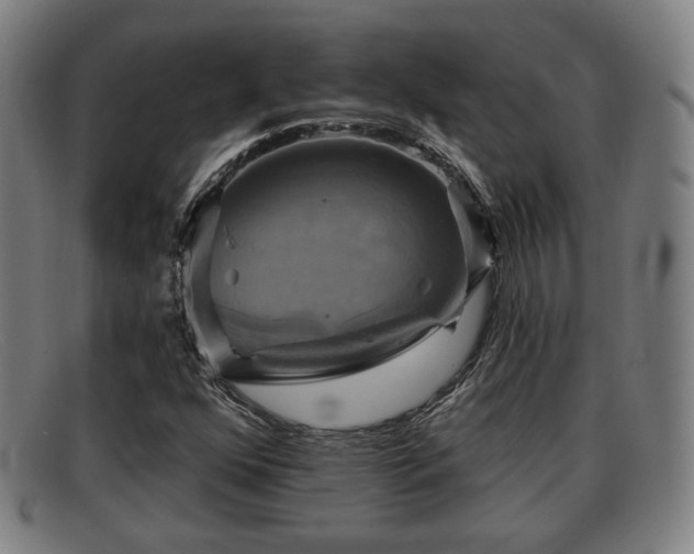 X0000091851352200709121302