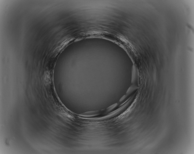 X0000091851353200709121302