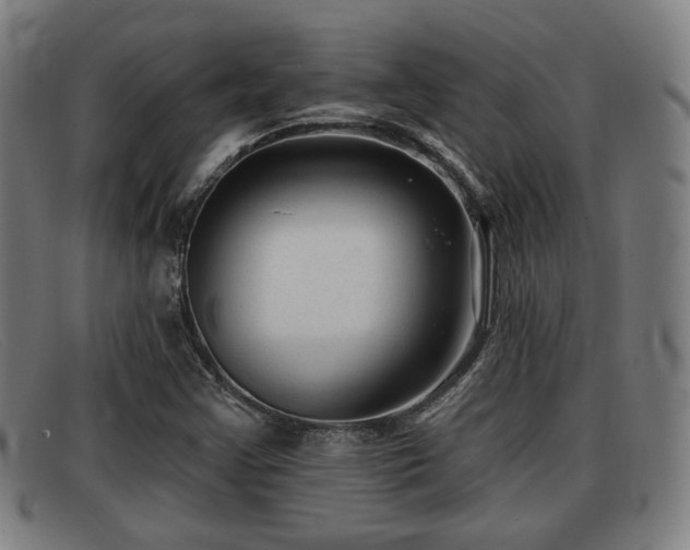 X0000091851355200709121302