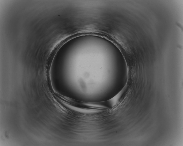 X0000091851356200709121302
