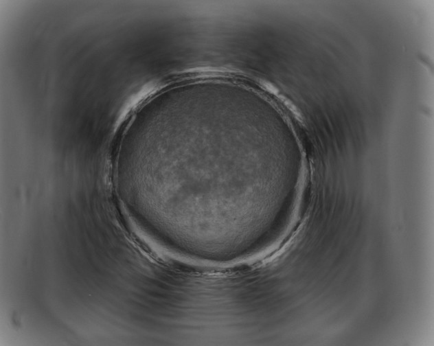 X0000091851357200709121302