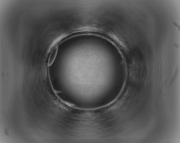 X0000091851358200709121302