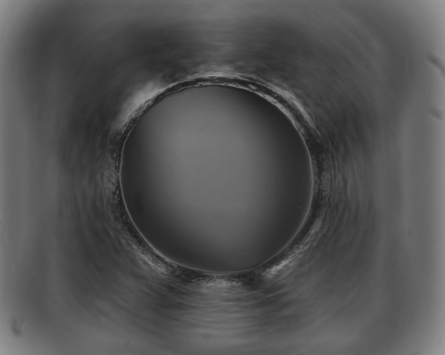 X0000091851359200709121302