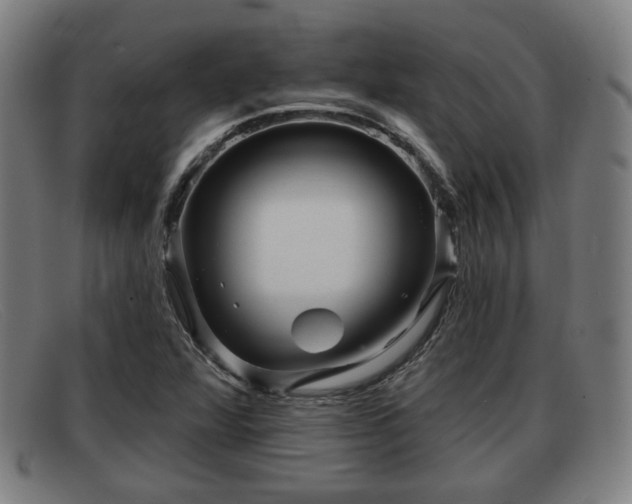 X0000091851360200709121302