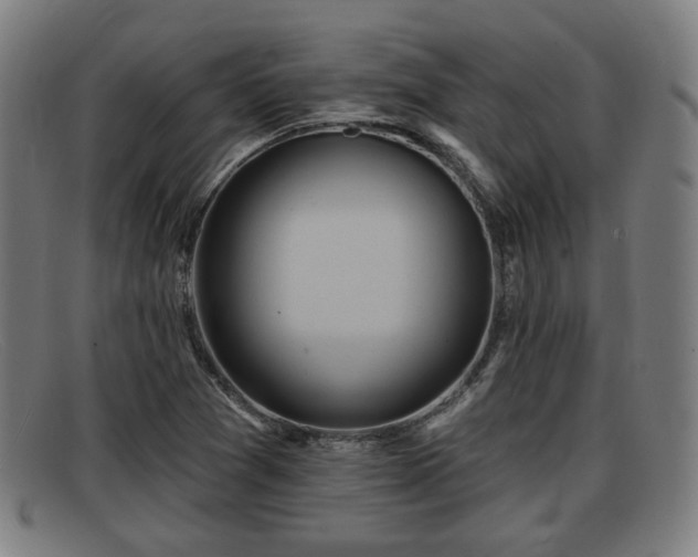 X0000091851361200709121302