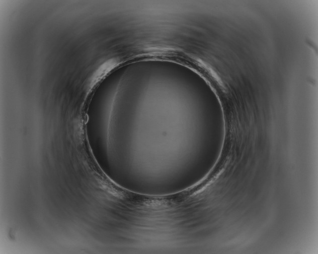 X0000091851362200709121302