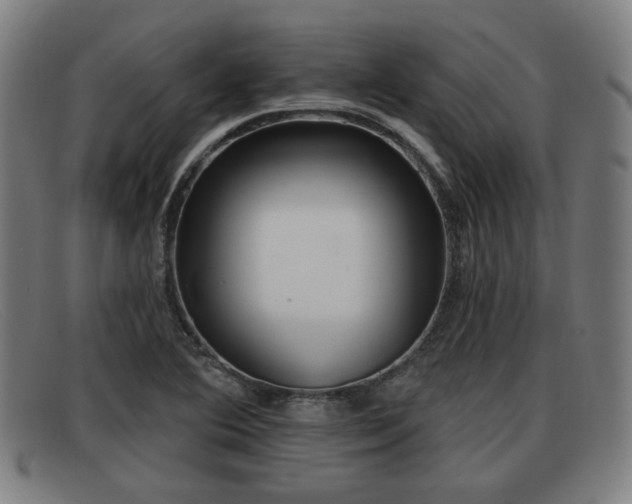 X0000091851364200709121302