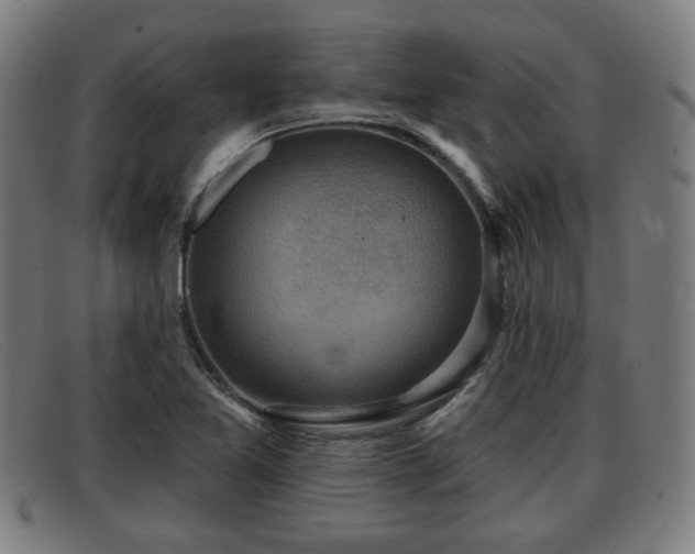 X0000091851365200709121302