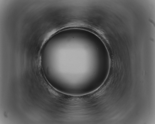 X0000091851366200709121302