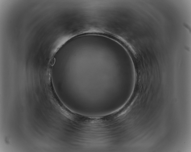 X0000091851367200709121302