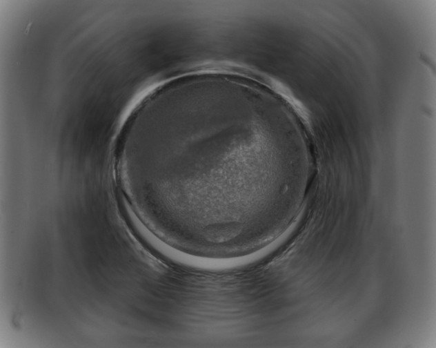 X0000091851368200709121302