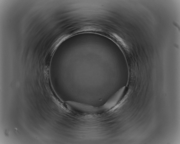 X0000091851369200709121302