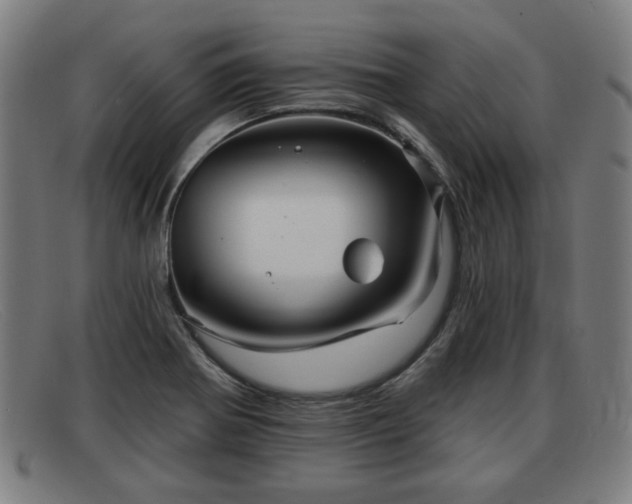 X0000091851370200709121302