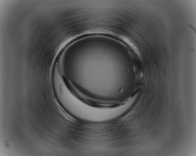 X0000091851372200709121302
