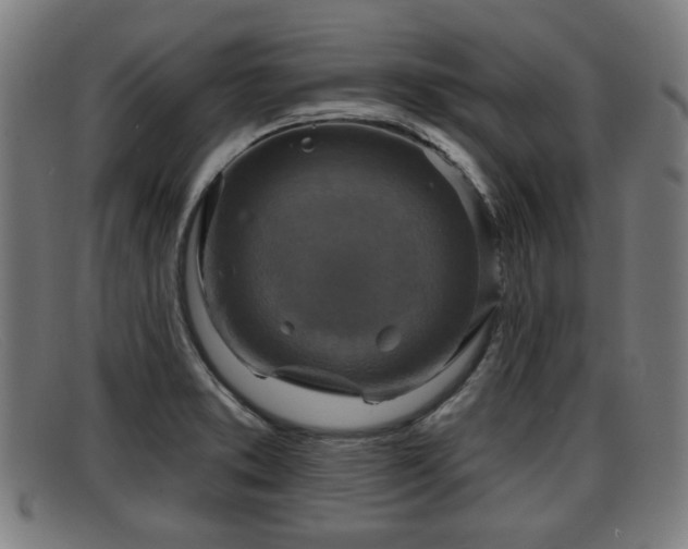 X0000091851373200709121302