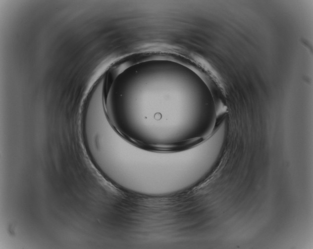 X0000091851376200709121302