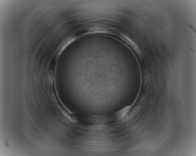 X0000091851377200709121302