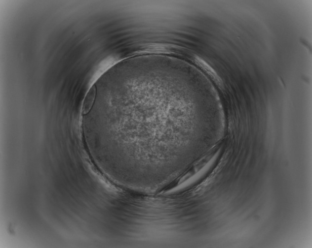 X0000091851378200709121302