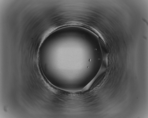 X0000091851379200709121302