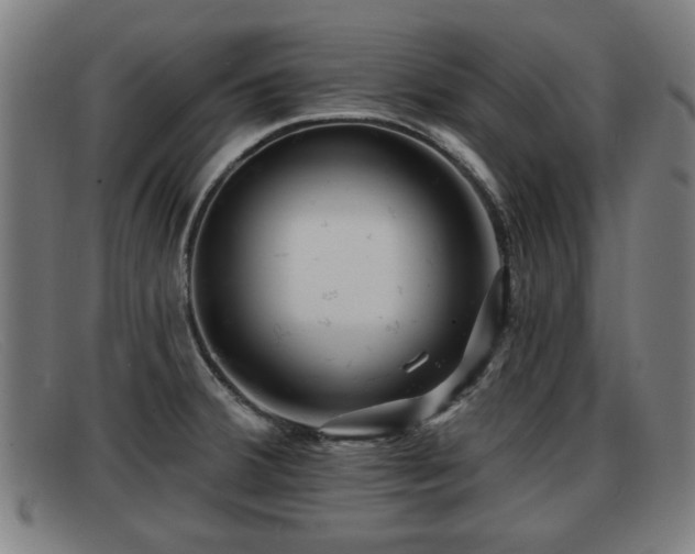 X0000091851380200709121302