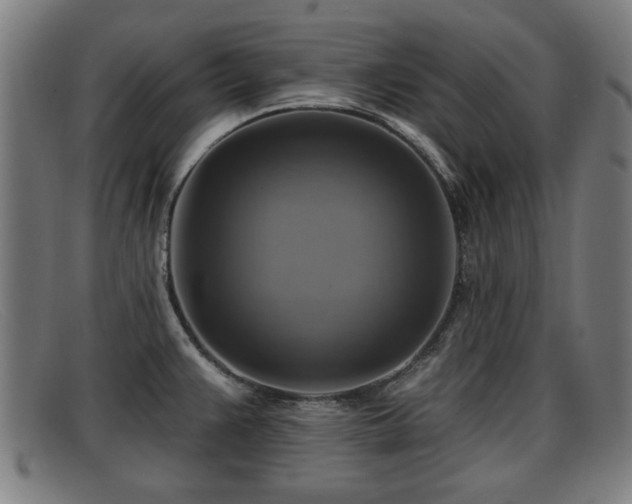 X0000091851383200709121302
