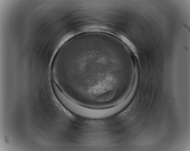 X0000091851384200709121302