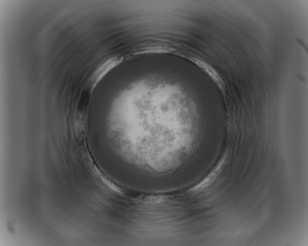 X0000091851385200709121302