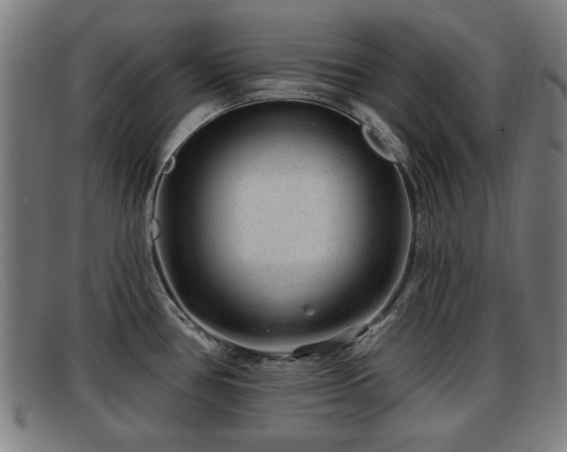 X0000091851386200709121302