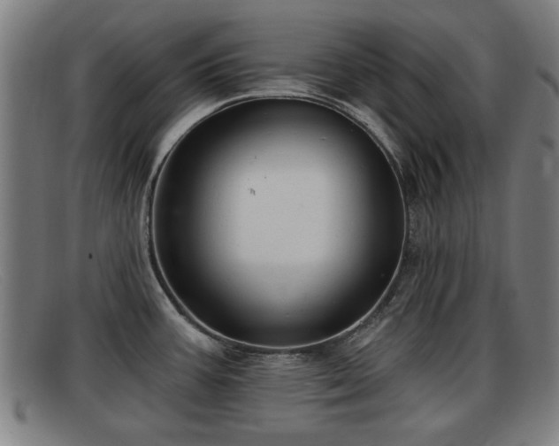 X0000091851387200709121302