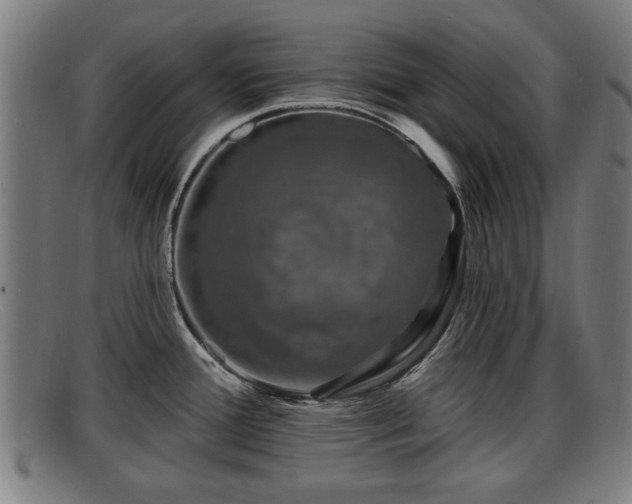 X0000091851388200709121302