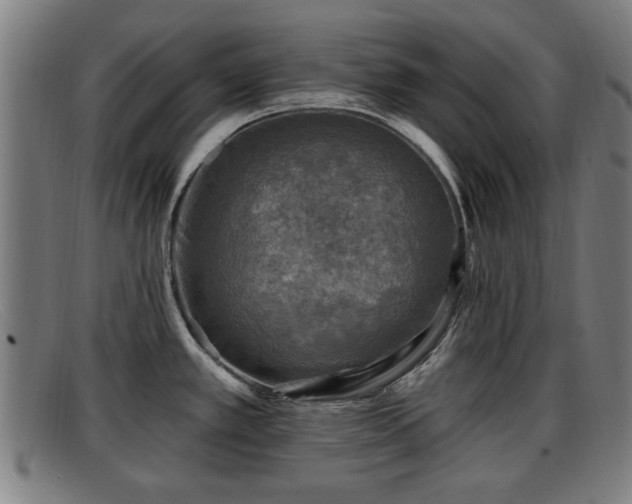 X0000091851389200709121302