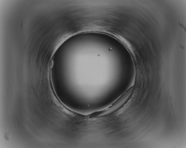 X0000091851390200709121302