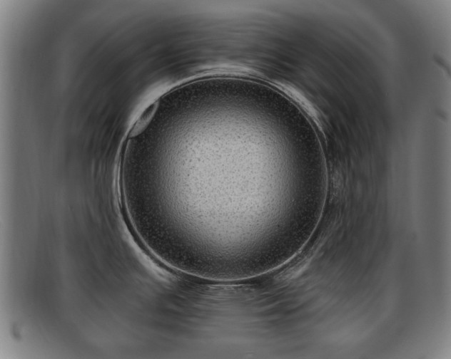 X0000091851391200709121302