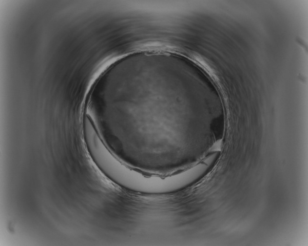 X0000091851392200709121302