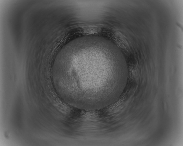 X0000091851393200709121301