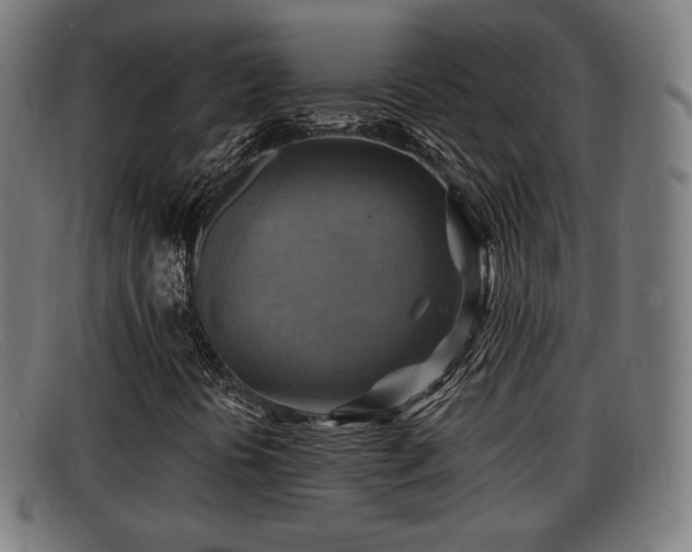X0000091851394200709121301