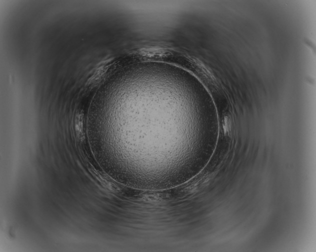X0000091851396200709121301