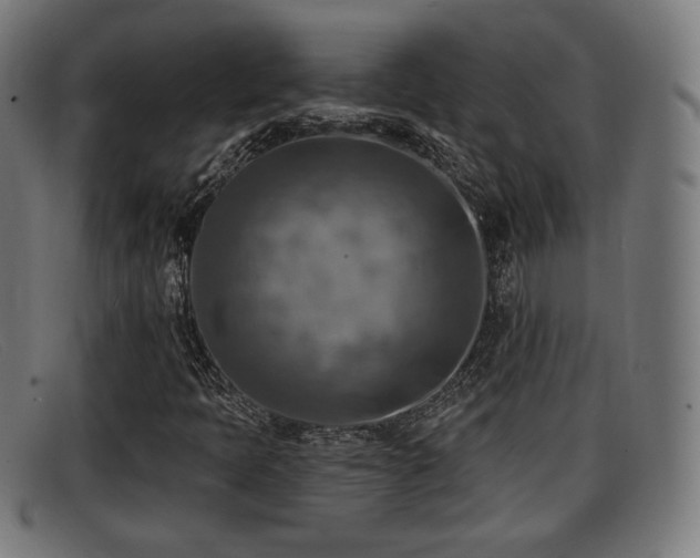 X0000091851397200709121301