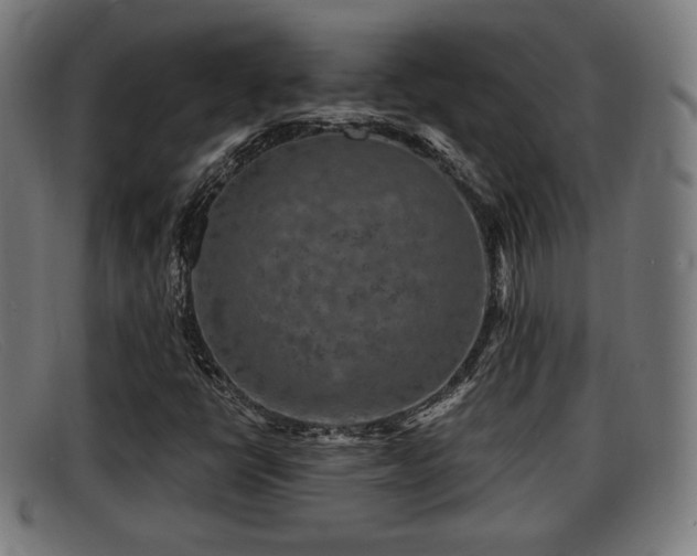 X0000091851398200709121301