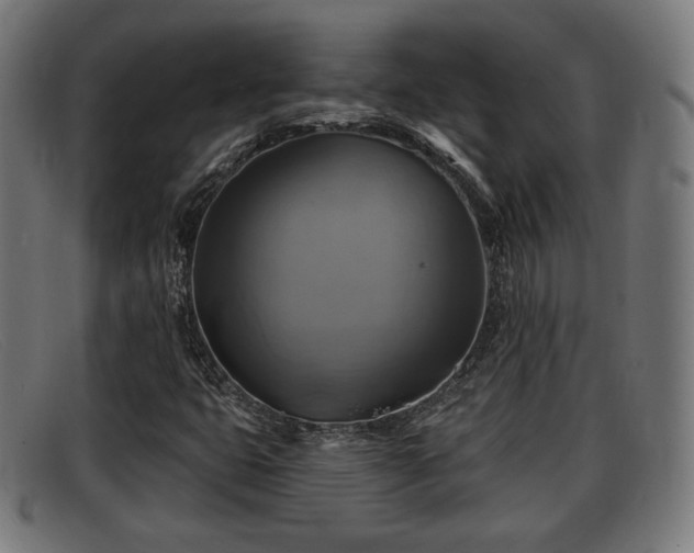 X0000091851399200709121301