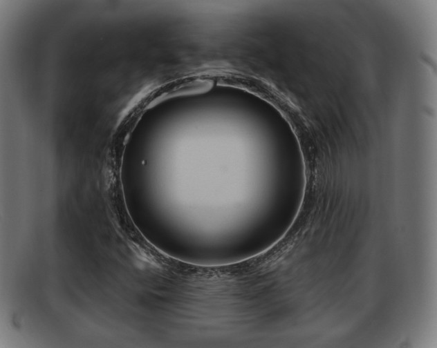 X0000091851400200709121301