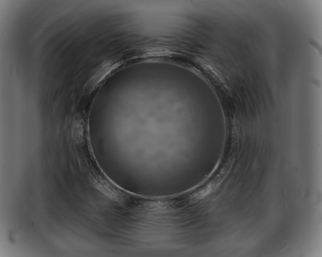 X0000091851401200709121302