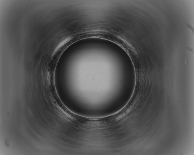 X0000091851402200709121302