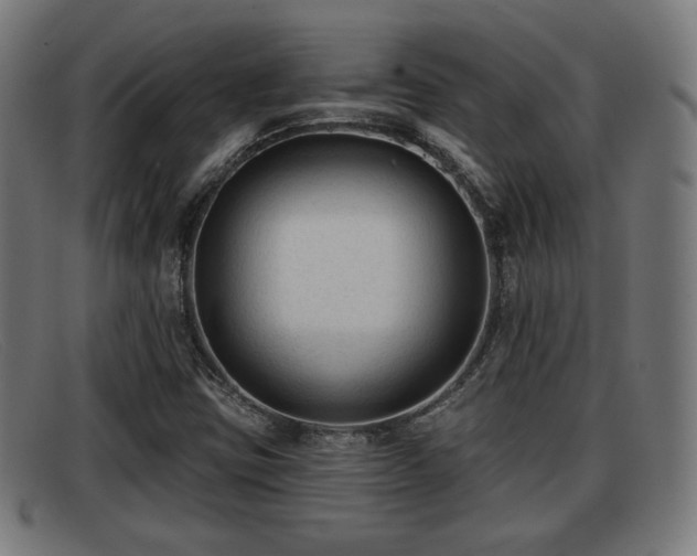X0000091851403200709121302