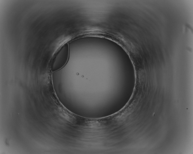 X0000091851405200709121302