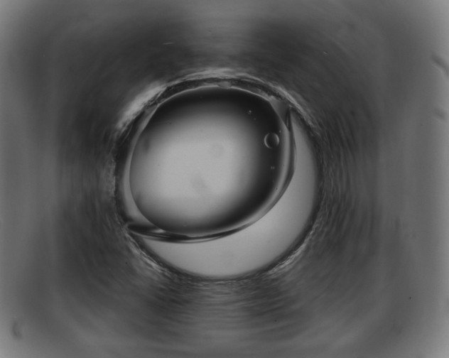 X0000091851406200709121302