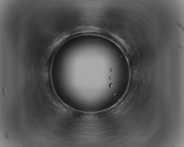 X0000091851407200709121302