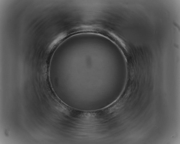 X0000091851411200709121302